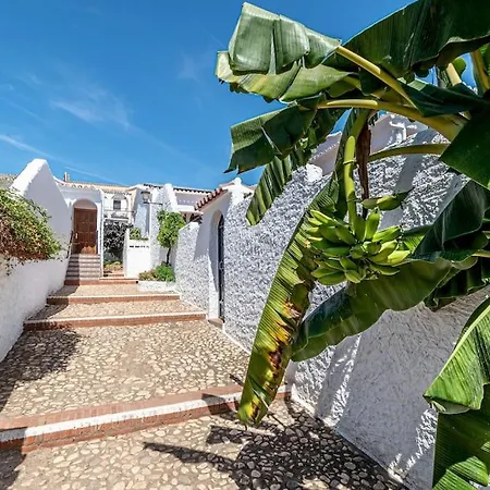 Olivo De Capistrano * Nerja