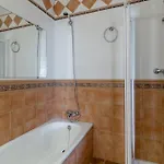 Olivo De Capistrano