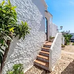 Olivo De Capistrano Nerja