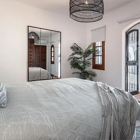 Olivo De Capistrano *