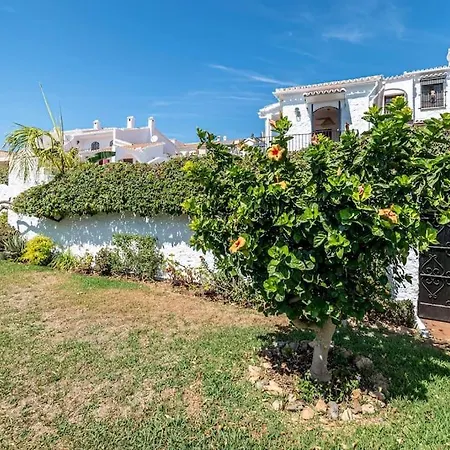 Olivo De Capistrano * Nerja