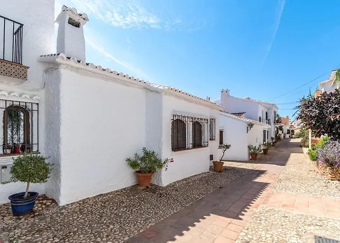 Olivo De Capistrano * Nerja