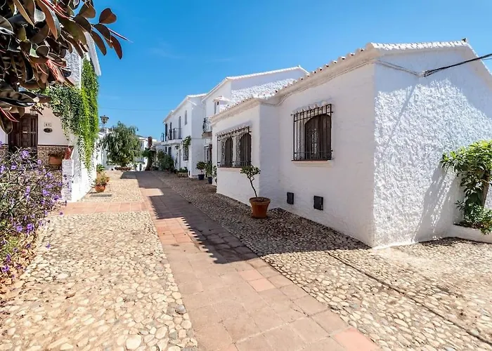 Olivo De Capistrano * Nerja