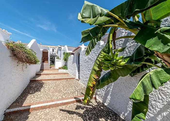 Olivo De Capistrano * Nerja