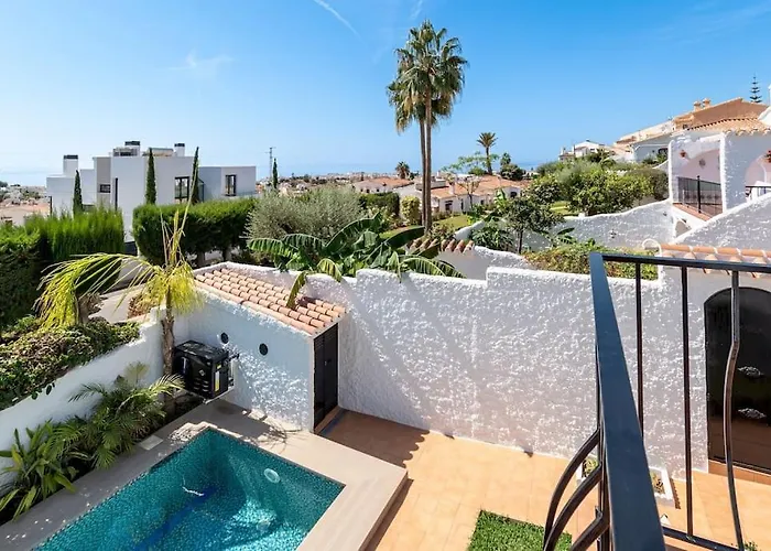 Olivo De Capistrano *