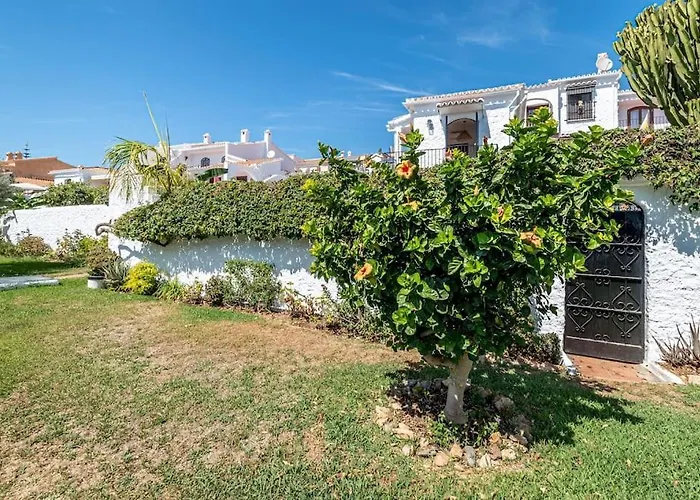 Olivo De Capistrano * نيرخا