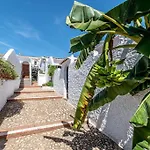Olivo De Capistrano * Nerja